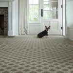 Dog on Carpet | Reinhold Flooring