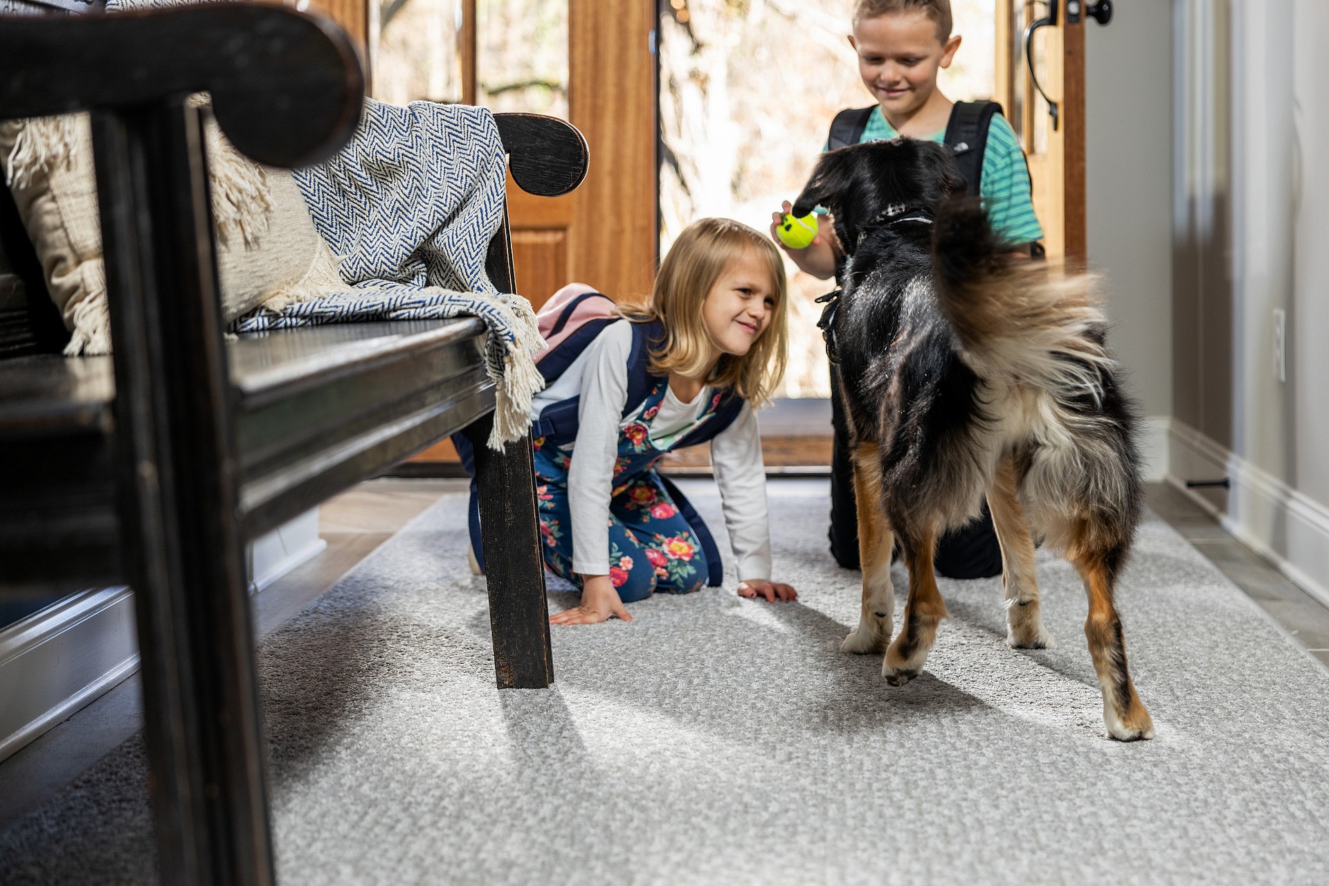 Allergy-friendly home with carpet and family pets