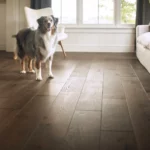 Pet friendly floor | Reinhold Flooring